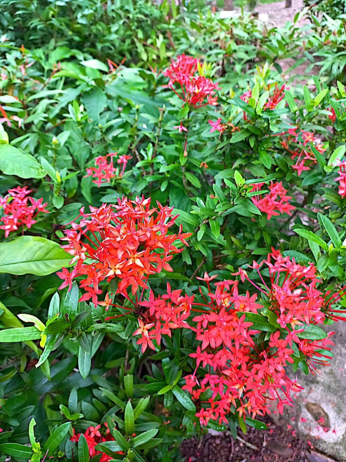 兰达迈玖简易别墅山林小屋 Ko Lanta 外观 照片