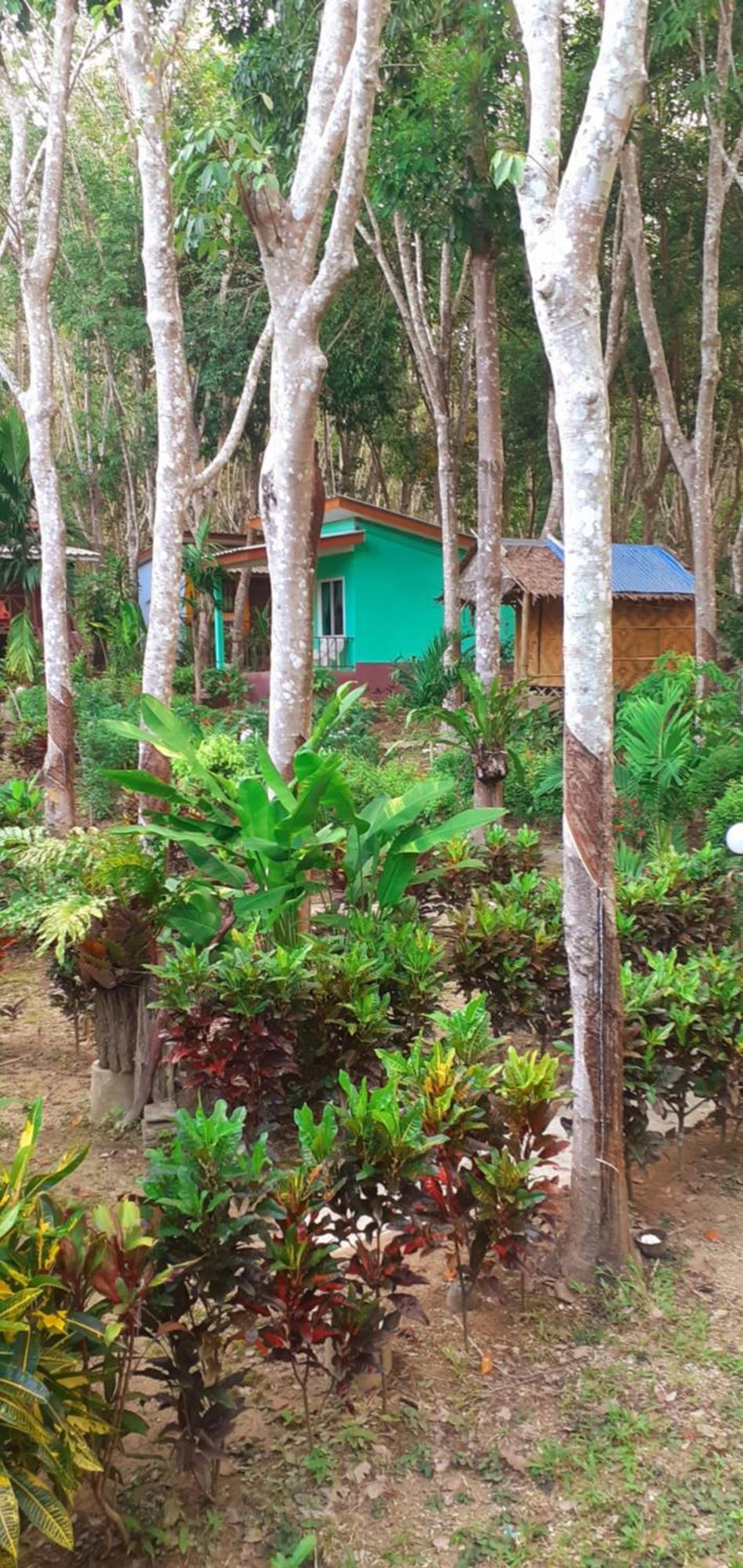 兰达迈玖简易别墅山林小屋 Ko Lanta 外观 照片